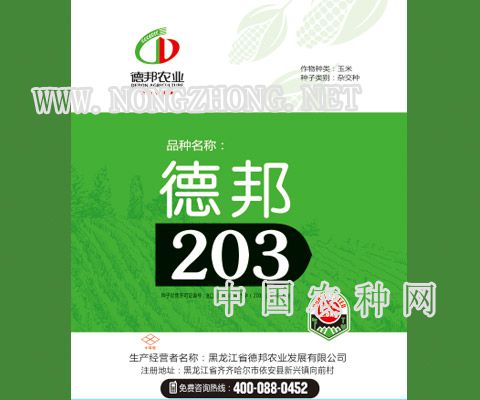 德邦203